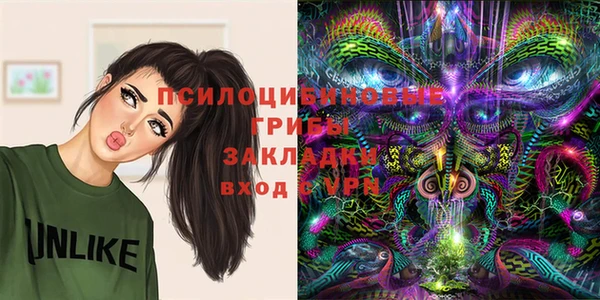 соль ск Нея