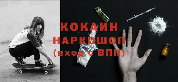 соль ск Нея