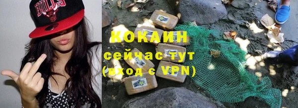 соль ск Нея