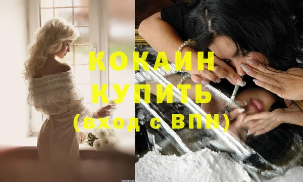 соль ск Нея