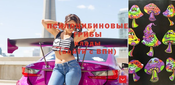 соль ск Нея