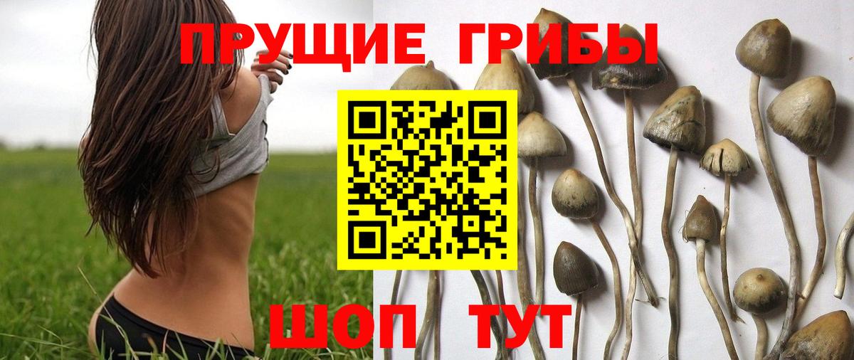 Южноуральск  Псилоцибиновые грибы ЛСД  Вход с VPN 