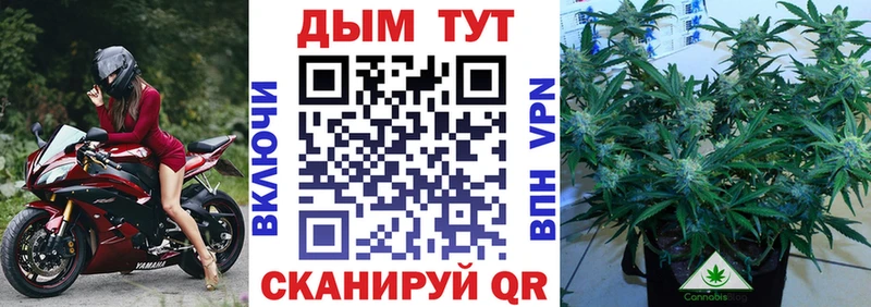 Марихуана индика  Южноуральск 